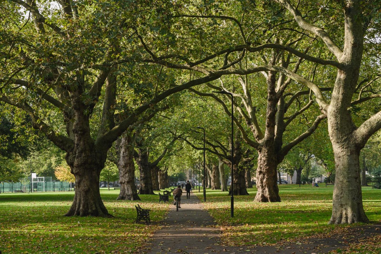 Lovely Apartment In Victoria Park Village Londres Exterior foto